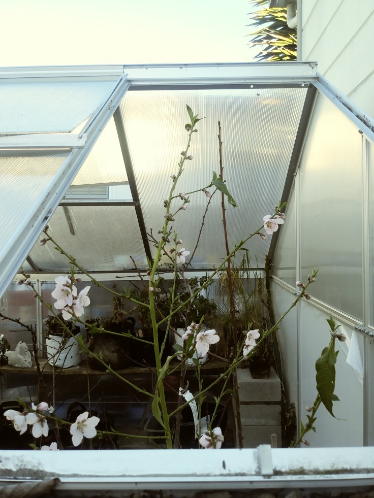 20190125_161141_Film2